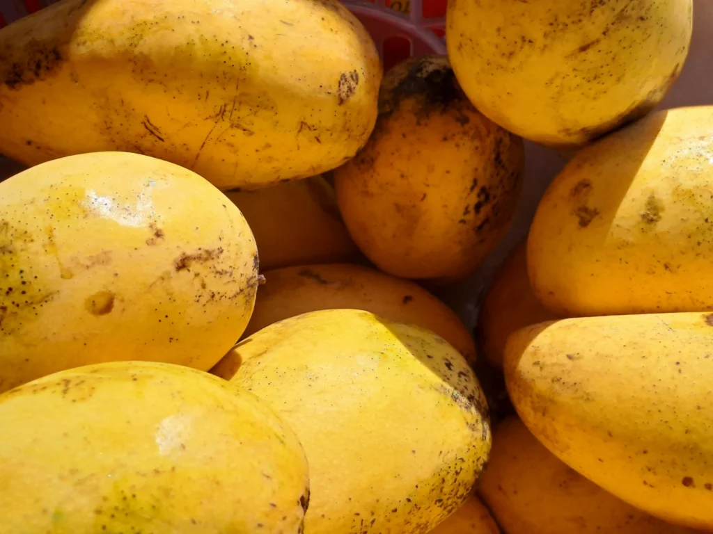 A pile of ripe Filipino mangoes, with their smooth yellow skin, some cut into cubes and sliced to showcase their vibrant, golden-orange flesh.