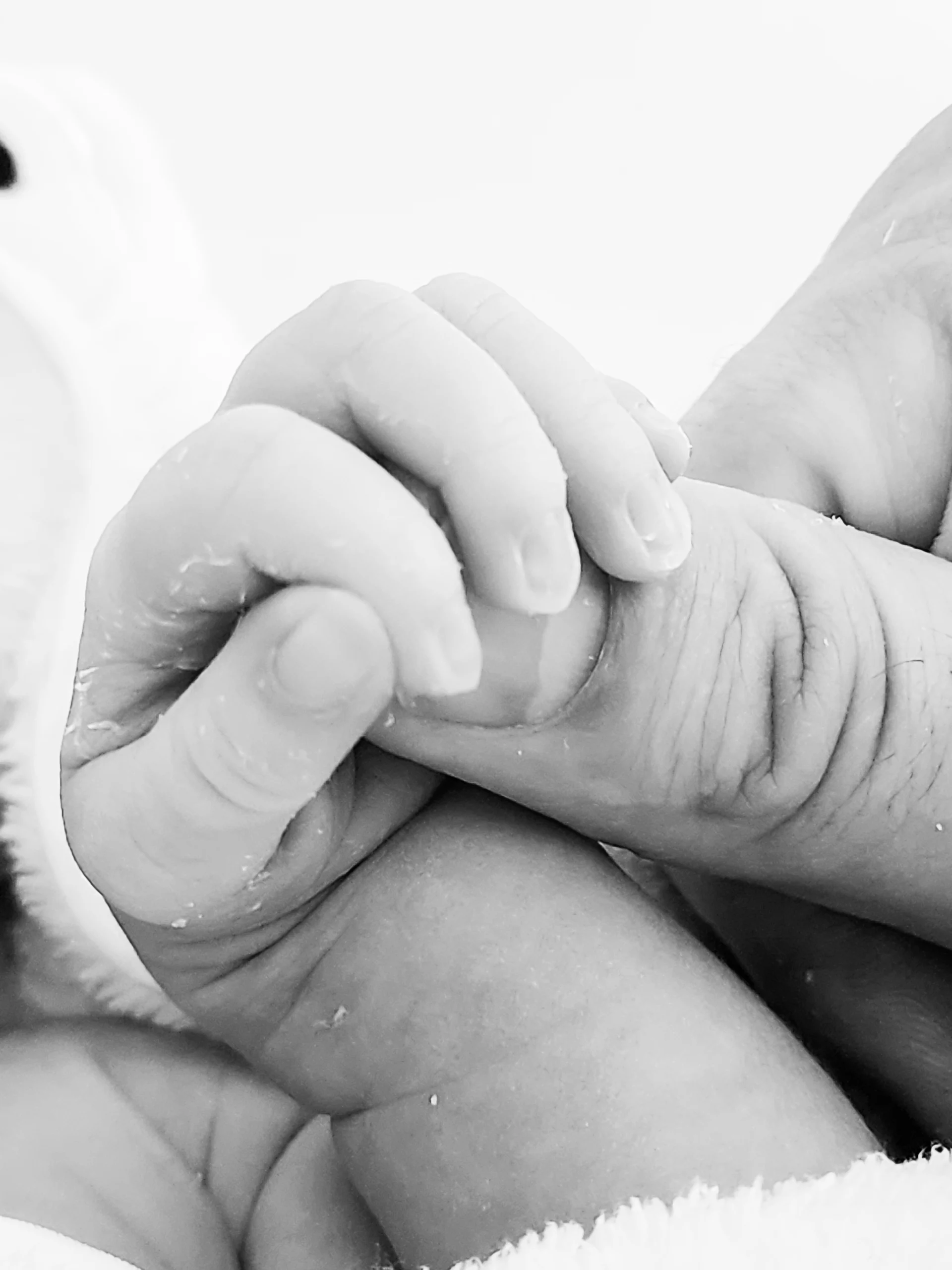 Newborn baby's tiny hand holding her father's finger in a black and white photo.